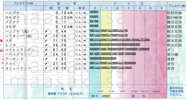 アレルギー検査結果